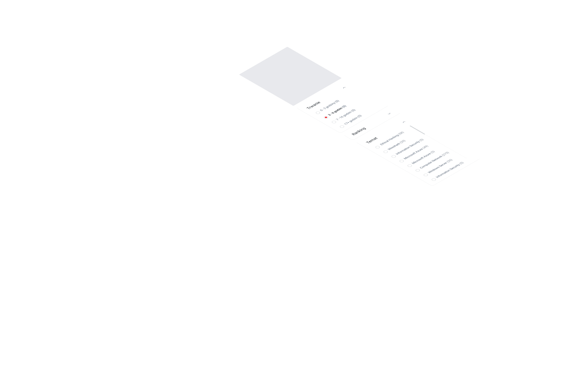 HCM baner 33